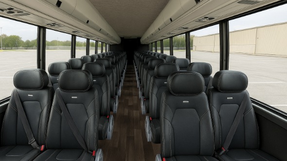 mount prospect 18 passenger minibus rental